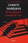 Enrico Pandiani - Una pistola come la tua