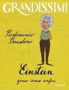 Pierdomenico Baccalario, G. Ferrario - Einstein, genio senza confini