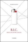 Elfriede Gaeng - Bic. Brevi incontri casuali