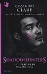 Cassandra Clare, Maureen Johnson, Sarah Rees Brennan - Le cronache di Magnus Bane