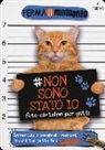 Non sono stato io. Foto-cartoline per gatti