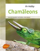 Domini Kieselbach, Dominik Kieselbach, Rol Müller, Rolf Müller, Ulri Walbröl, Ulrike Walbröl - Chamäleons