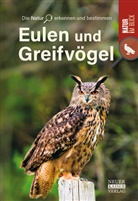 Eulen und Greifvögel