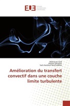 Sad Nord-eddine, Sad chemloul Nord-eddine, Kherri Sahraoui, Kherris Sahraoui, Mekrouss Said, Mekroussi Said - Amélioration du transfert convectif dans une couche limite turbulente