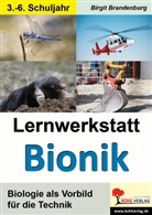 Birgit Brandenburg - Lernwerkstatt Bionik