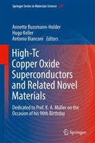 Antonio Bianconi, Annette Bussmann-Holder, Hug Keller, Hugo Keller - High-Tc Copper Oxide Superconductors and Related Novel Materials