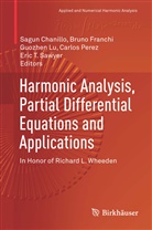 Sagun Chanillo, Brun Franchi, Bruno Franchi, Guozhen Lu, Guozhen Lu et al, Carlos Perez... - Harmonic Analysis, Partial Differential Equations and Applications