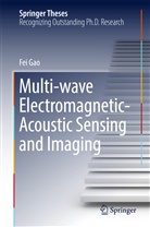 Fei Gao - Multi-Wave Electromagnetic-Acoustic Sensing and Imaging