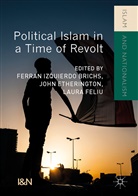 Joh Etherington, John Etherington, Laura Feliu, Ferran Izquierdo Brichs, Ferran Izquierdo-Brichs - Political Islam in a Time of Revolt