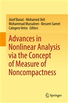 Józef Banas, Józef Banaś, Mohame Jleli, Mohamed Jleli, Mohammad Mursaleen, Mohammad Mursaleen et al... - Advances in Nonlinear Analysis via the Concept of Measure of Noncompactness