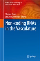 Dimmeler, Dimmeler, Stefanie Dimmeler, Thoma Thum, Thomas Thum - Non-coding RNAs in the Vasculature