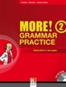 Peter Lewis-Jones, Herbert Puchta, Jeff Stranks - MORE! Grammar Practice, Ausgabe D, m. CD-ROM. Bd.2
