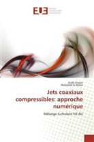 Riad Ouzani, Riadh Ouzani, Mohamed Si-Ameur - Jets coaxiaux compressibles: approche numérique