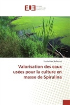 Touria Ould Bellahcen - Valorisation des eaux usées pour la culture en masse de Spirulina