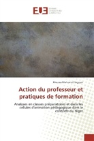 Moussa Mohamed Sagayar - Action du professeur et pratiques de formation