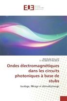 El Houssaine El Boudouti, Abdelkade Mouadili, Abdelkader Mouadili - Ondes électromagnétiques dans les circuits photoniques à base de stubs