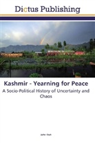 Adfer Shah - Kashmir - Yearning for Peace