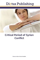 Mohamed Abdel Fattah Abdallah - Critical Period of Syrian Conflict