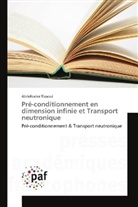 Abdelkader Tizaoui - Pré-conditionnement en dimension infinie et Transport neutronique