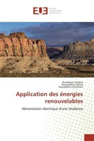 Nas Chennouf, Nasreddine Chennouf, Boubekeu Dokkar, Boubekeur Dokkar, Noureddin Settou, Noureddine Settou - Application des énergies renouvelables