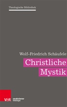 Wolf-Friedrich Schäufele, Albrecht Weber, Christoph Auffarth, Iren Dingel, Irene Dingel, Bernd Janowski... - Christliche Mystik