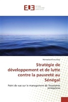 Mamadou K. Diop, Mamadou Khary DIOP - Stratégie de développement et de lutte contre la pauvreté au Sénégal