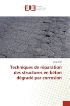 Samy Antit - Techniques de réparation des structures en béton dégradé par corrosion