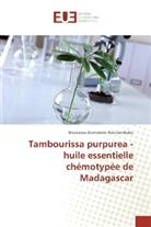 Maevasoa Diamondra Rakotondrabe - Tambourissa purpurea - huile essentielle chémotypée de Madagascar