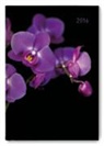 Alpha Edition - Buchkalender Style A5 2017 Orchid