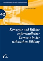 Stefan Brämer, Frank Bünning, Katharina Dutz, Stefan Fletcher, Gabriele Graube, Marie Christin Gromatka... - Konzepte und Effekte außerschulischer Lernorte in der technischen Bildung