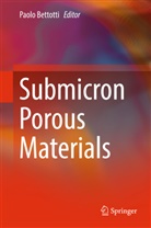 Paolo Bettoti, Paol Bettotti, Paolo Bettotti - Submicron Porous Materials