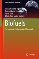 Avinash K Agarwal, Avinash K. Agarwal, Avinash Kumar Agarwal, Rashmi Avinash Agarwal, Rashm Avinash Agarwal, Rashmi Avinash Agarwal... - Biofuels