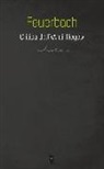 Ludwig Feuerbach, D. Dell'Ombra - Critica dell'«Anti-Hegel»