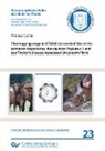 Theresa Gather - Übertragungswege und Infektionsverlauf des nicht-primaten Hepacivirus, des equinen Pegivirus 1 und des Theiler's Disease Associated Virus beim Pferd
