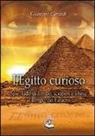 Giuseppe Gerardi - L'Egitto curioso. Spie, ladri di tombe, scioperi e lifting al tempo dei faraoni