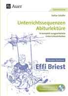 Stefan Schäfer, Theodor Storm - Theodor Fontane Effi Briest, m. 1 CD-ROM