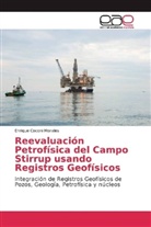 Enrique Coconi Morales - Reevaluación Petrofísica del Campo Stirrup usando Registros Geofísicos