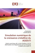 Hanan Azoui, Hanane Azoui, Derradj Bahloul, Derradji Bahloul, Abdellah Laidoune - Simulation numérique de la croissance cristalline du Al2O3:Ti