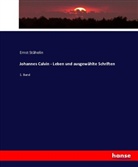 Ernst Stähelin - Johannes Calvin - Leben und ausgewählte Schriften