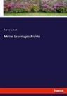 Fanny Lewald - Meine Lebensgeschichte