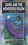 J.I.N. Chukwuka, Jin Chukwuka - Zandi and the Wonderful Pillow