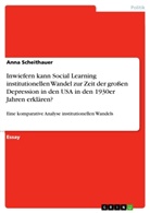 Anna Scheithauer - Inwiefern kann Social Learning institutionellen Wandel zur Zeit der großen Depression in den USA in den 1930er Jahren erklären?