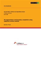 Lina Gundelwein - 3D segmentation and boundary completion using subjective surface method