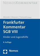 Thoma Meysen, Thomas Meysen, Johannes Münder, Thomas Trenczek - Frankfurter Kommentar SGB VIII, Kinder- und Jugendhilfe