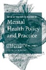 Nina Ro Heller, Nina Rovinelli Heller, Nina Rovinelli (USA) Heller, Rovinelli Heller, Nina Rovinelli Heller, Elain Sharland... - Beyond the Risk Paradigm in Mental Health Policy and Practice