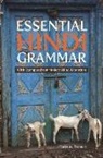 Christine Everaert - Essential Hindi Grammar