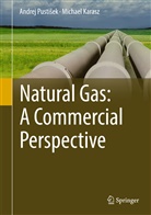 Michael Karasz, Andrej Pusti¿ek, Andre Pustisek, Andrej Pustisek, Andrej Pustišek - Natural Gas: An Commercial Perspective