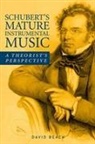 David Beach, David (Customer) Beach - Schubert's Mature Instrumental Music