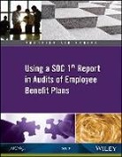 AICPA - Practice Aid