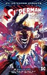 Patrick Gleason, Peter J. Tomasi, Peter J./ Gleason Tomasi, Patrick Gleason - Multiplicity - Rebirth